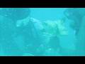 THE WEDDING CRUISE PART 2, THE UNDERWATER WEDDING