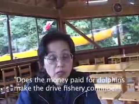 The Truth About Dolphin Captivity