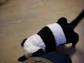 DSCF2199