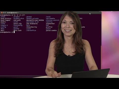 how to echo in linux