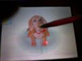 Being Bored With My Nintendogs