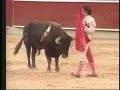 Javier Conde: Toro indultado en Cali, Colombia 1998.