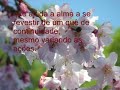 momento-presente.html