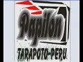 papilon papilon