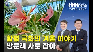 함평 국화의 겨울 이야기