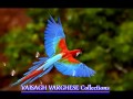 Tamil Melody Songs Collection Nonstop Jukebox Tamil Melody Songs Collection Nonstop Jukebox