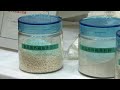 Next-Generation Recycling Using Industrial Waste Paper