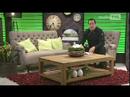 Absolutely Free Festival: The Lazy Freeloaders in Studio TVL