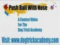April 2008 Challenge Example (Push Ball With Nose!)