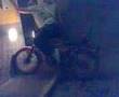 rufo en castillejar 2