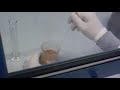 Scampagnata nel laboratorio