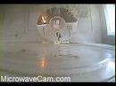 MicrowaveCam.com - CD MicrowaveCam.com - CD