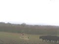 Feeding stock Feeding stock