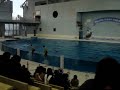 Yokohama Hakkei Jima Sea Paradise