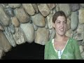 WEA Origins in Environmental Activism WEA Origins in Environmental Activism
