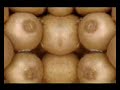 Fittered Fitness Video #3