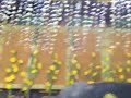 葵祭2008