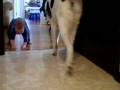 videos de Jack never gives up.mov