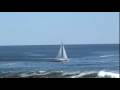 the bright blue sea the bright blue sea