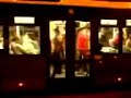 euro 2008   cabestros en carabanchel