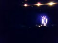 The Hives