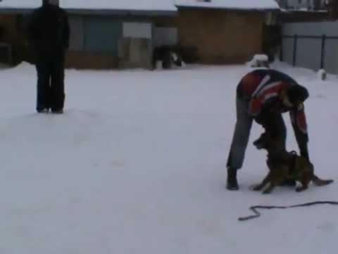 Батон2.wmv