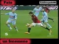 il fenomeno