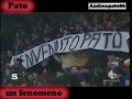 pato un fenomeno