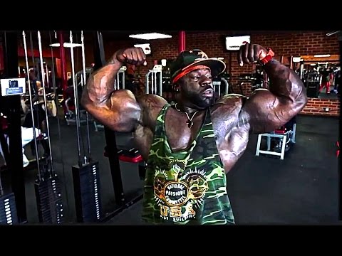 muscle