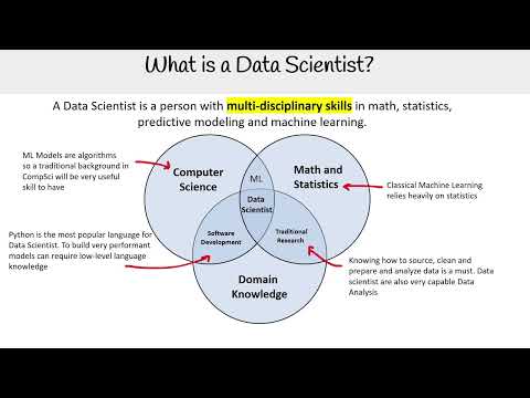 What is a Data Scientist? - AWS AI Practitioner AIF-C01