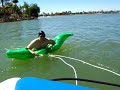 Extreme Alligator Waterskiing Extreme Alligator Waterskiing