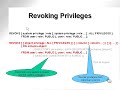 learning oracle application developer 53