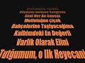 DaMaR-ARABESK-Muhitt
