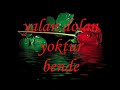 DaMaR-ARABESK-Muhitt