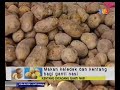 Makan Kentang & Keledek ganti Beras Makan Kentang & Keledek ganti Beras