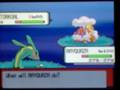 Shiny Torkoal At Chain 40