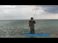 Each spring, millions of garfish make their way into the Baltic Sea to spawn. Along the way, they school in the shallow waters of Danish coastline, where anglers can enjoy several weeks of fantastic fishing. These interesting looking fish have an elongated bony mouth, so it is quite difficult to keep them on the hook. This clip demonstrates how frustrating this can be. For the full-length version of 