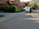 riders