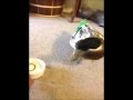 MINE!