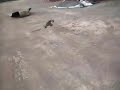 St-15 getting air