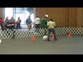 Perfect Score at AKC Rally Novice Trial