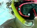 Exumas Exploration