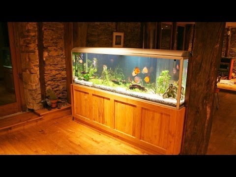 how to care aquarium fish