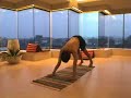 Janu Sirsasana A - C, Clip 6 Janu Sirsasana A - C, Clip 6