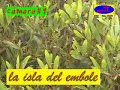 El Cuarteto de Nos - Canal PI - La isla del embole