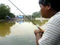 memancing patin di tasik temerloh..