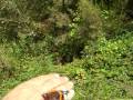Mariposa en mano
