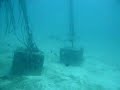 2 Black Tip Reef Sharks at Redang checking diver out