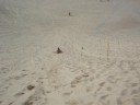 FLORIPA AII SIMM SURF DUNAS JOAQUINA.
