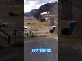 いつもの散歩コース予讃線#shorts #予讃線#JR大洲駅